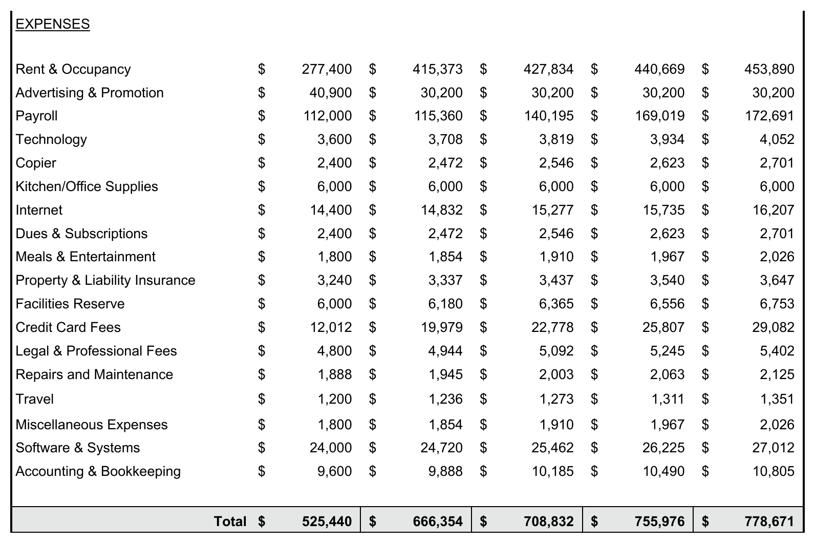 An operating expense block listing rent and occupancy, advertising, payroll, technology, supplies, insurance, professional fees and other lines, each with a monthly and annual figure.